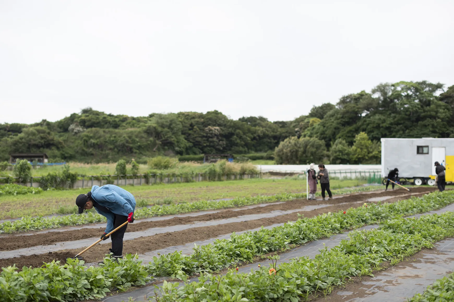花も人も、ありのままに咲く。横須賀・ローランズファームの挑戦