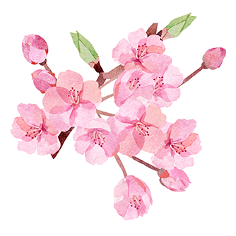 桜