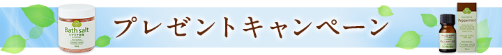 キャンペーンタイトル