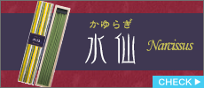 かゆらぎ 水仙