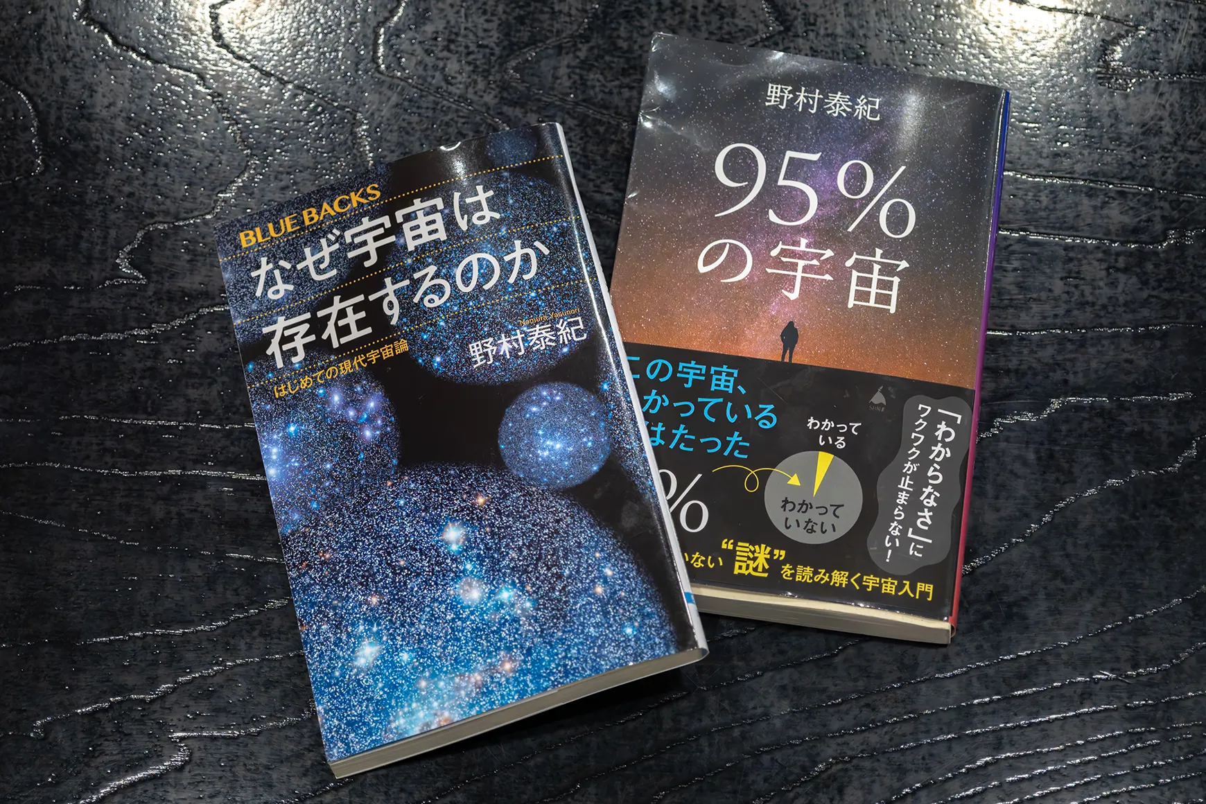 野村泰紀さんの近著『95%の宇宙』