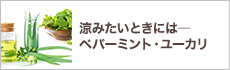 涼みたいときには ― ペパーミント・ユーカリ