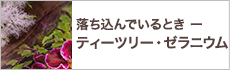 落ち込んでいるとき ― ティーツリー・ゼラニウム