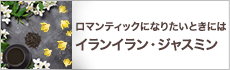 温まりたいときには ― ジンジャー・パチュリ