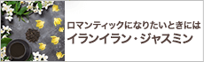 温まりたいときには ― ジンジャー・パチュリ