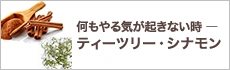 何もやる気が起きない時 ― ティーツリー・シナモン