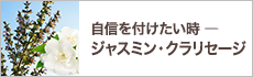 自信を付けたい時 ― ジャスミン・クラリセージ