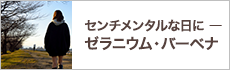 センチメンタルな日にーゼラニウム・バーベナ