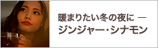 暖まりたい冬の夜にージンジャー・シナモンー