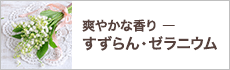 爽やかな香りーすずらん・ゼラニウムー